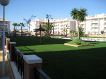 Lawns